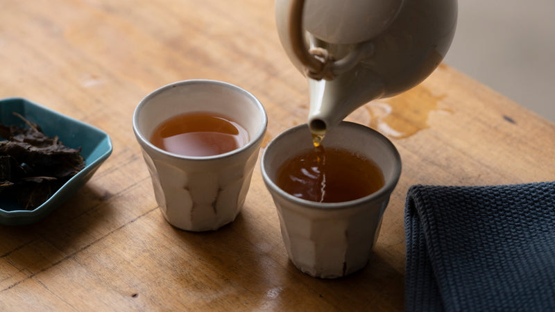 空海が関係している? 研究者・堀江祐範さんに聞いた「後発酵茶」を巡る乳酸発酵ミステリー