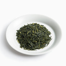 画像をギャラリービューアに読み込む, 017 FUJIEDAKAORI 藤枝かおり