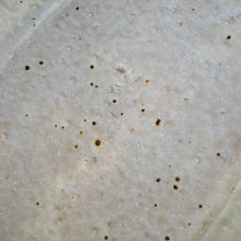 画像をギャラリービューアに読み込む, 田中大輝 粉引楕円皿