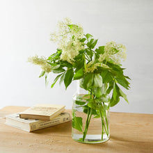 画像をギャラリービューアに読み込む, SHISEI フラワーベース ネック