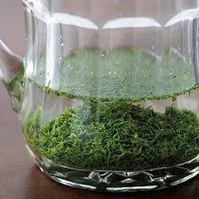 画像をギャラリービューアに読み込む, 020 SAEMIDORI さえみどり