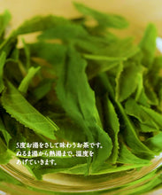 画像をギャラリービューアに読み込む, 干支のお茶「午年」2026