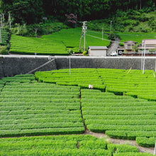 画像をギャラリービューアに読み込む, TOKYO TEA JOURNAL