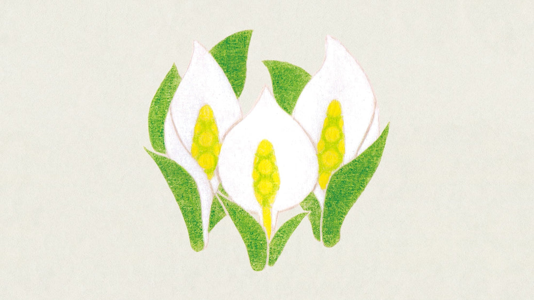 二十四節気カレンダー「清明」