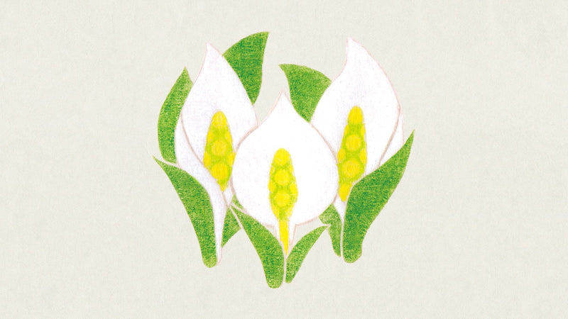 二十四節気カレンダー「清明」