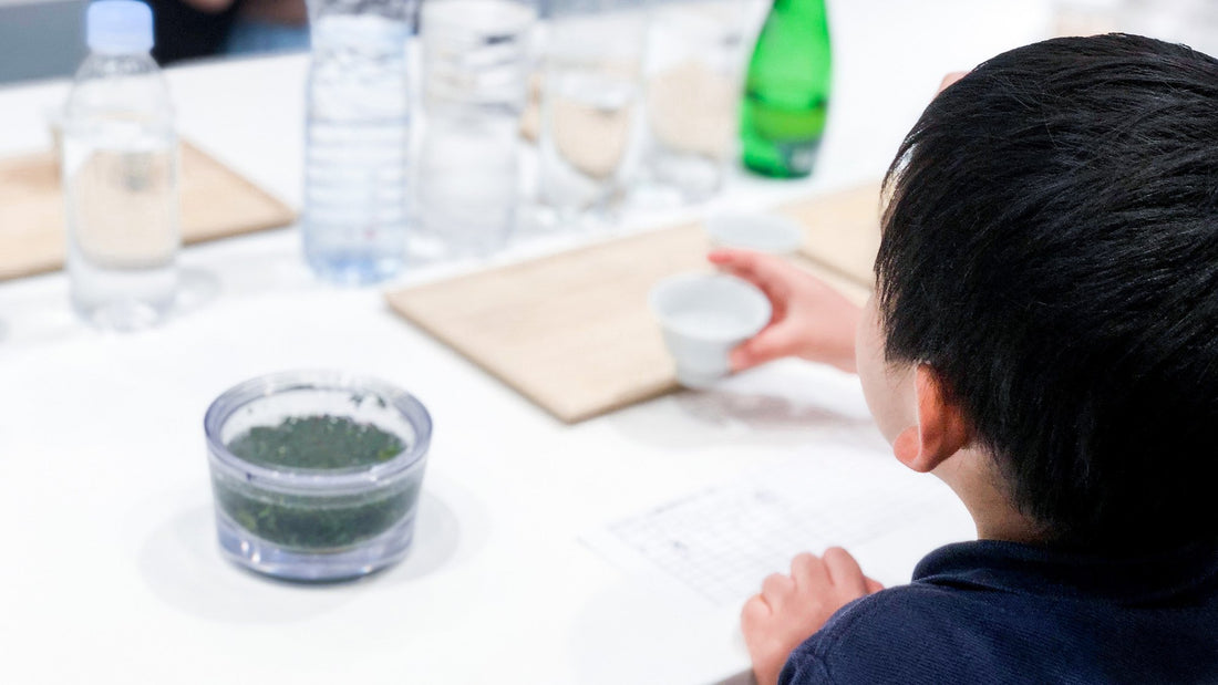 子どもと楽しむお茶時間「茶育」のすすめ