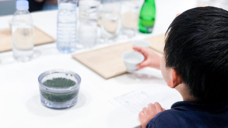 子どもと楽しむお茶時間「茶育」のすすめ