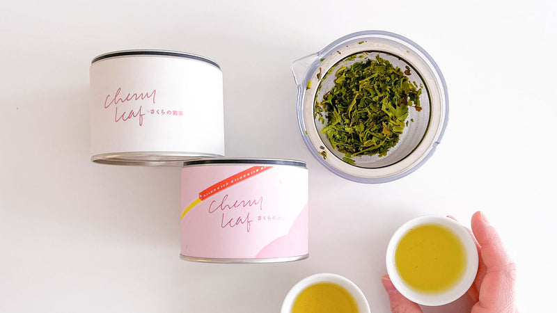 【試飲茶会】2022年2月販売『さくらの煎茶』を飲んでみました！