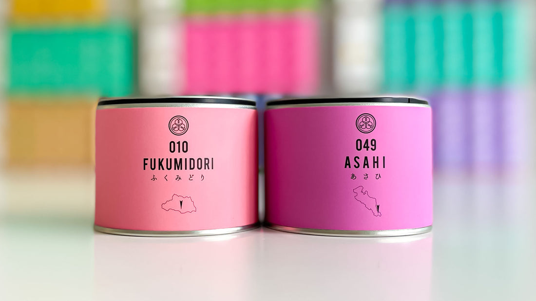 【試飲茶会】2021年12月販売のシングルオリジン煎茶2種を飲み比べしてみました！