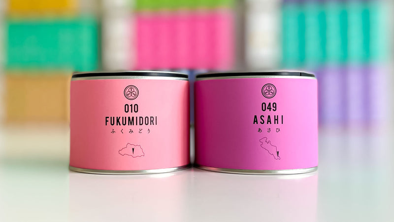 【試飲茶会】2021年12月販売のシングルオリジン煎茶2種を飲み比べしてみました！