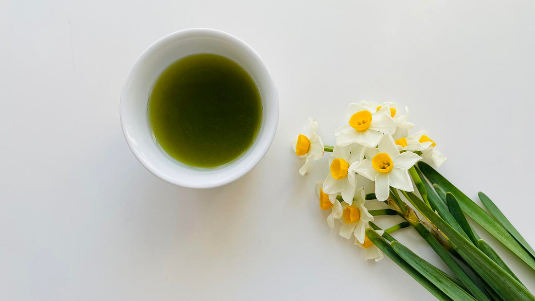 部屋に飾りたい花。vol.010 春を告げる花 スイセン。銀座 ・MONCEAU FLEURS