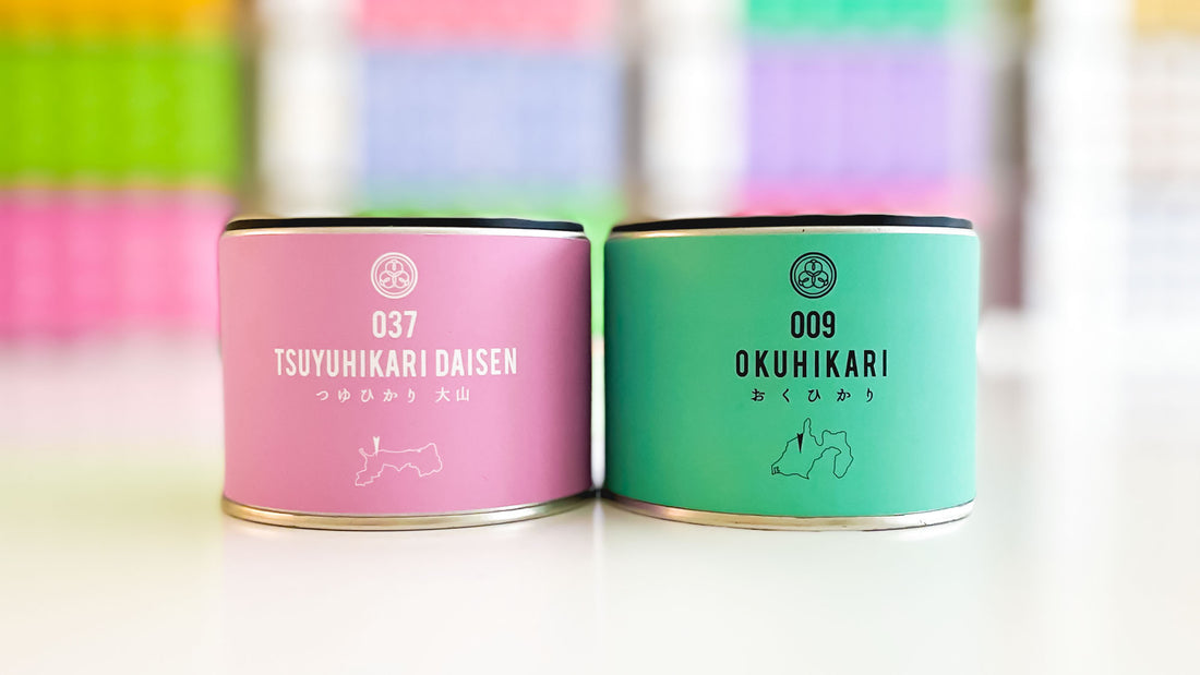 【試飲茶会】2022年1月販売のシングルオリジン煎茶2種を飲み比べしてみました！