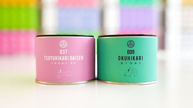 【試飲茶会】2022年1月販売のシングルオリジン煎茶2種を飲み比べしてみました！