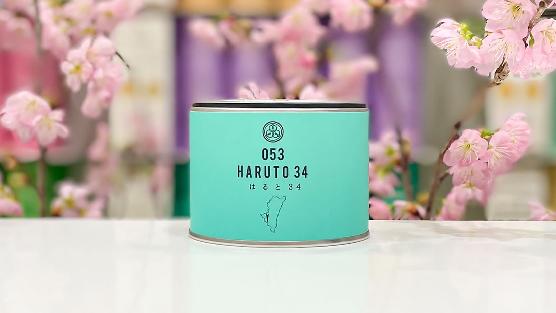 【試飲茶会】2022年3月販売のシングルオリジン煎茶を飲んでみました！