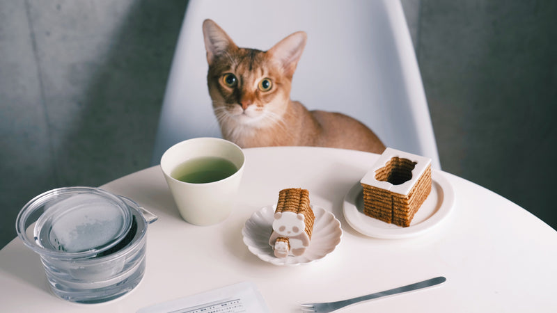 お菓子とお茶(と猫)｜型抜きで楽しいひと手間。カタヌキヤ「親子パンダバウム」と「001 はるもえぎ」