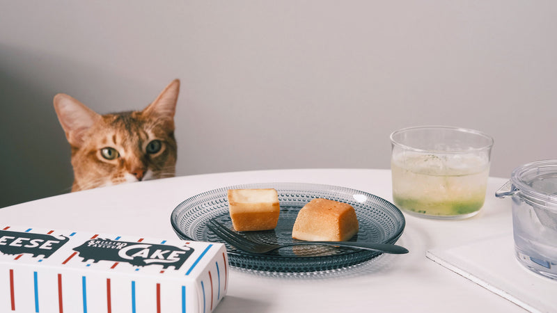 お菓子とお茶(と猫)｜銀座生まれ、銀座育ち。資生堂パーラー「チーズケーキ」と「001 はるもえぎ」を氷出しで