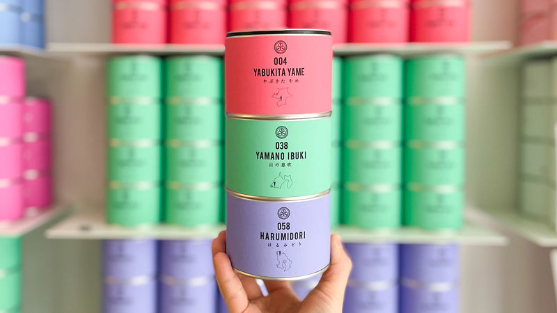 【試飲茶会】2023年2月販売のシングルオリジン煎茶3種を飲み比べてみました！