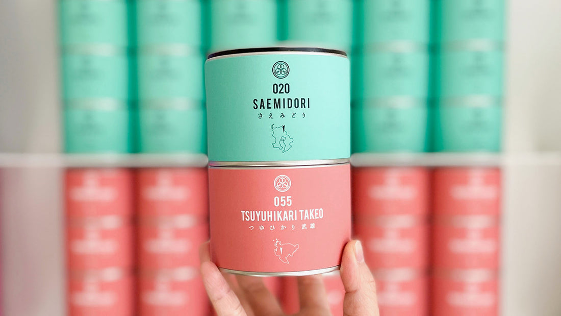 【試飲茶会】2023年4月販売のシングルオリジン煎茶2種を飲み比べてみました！