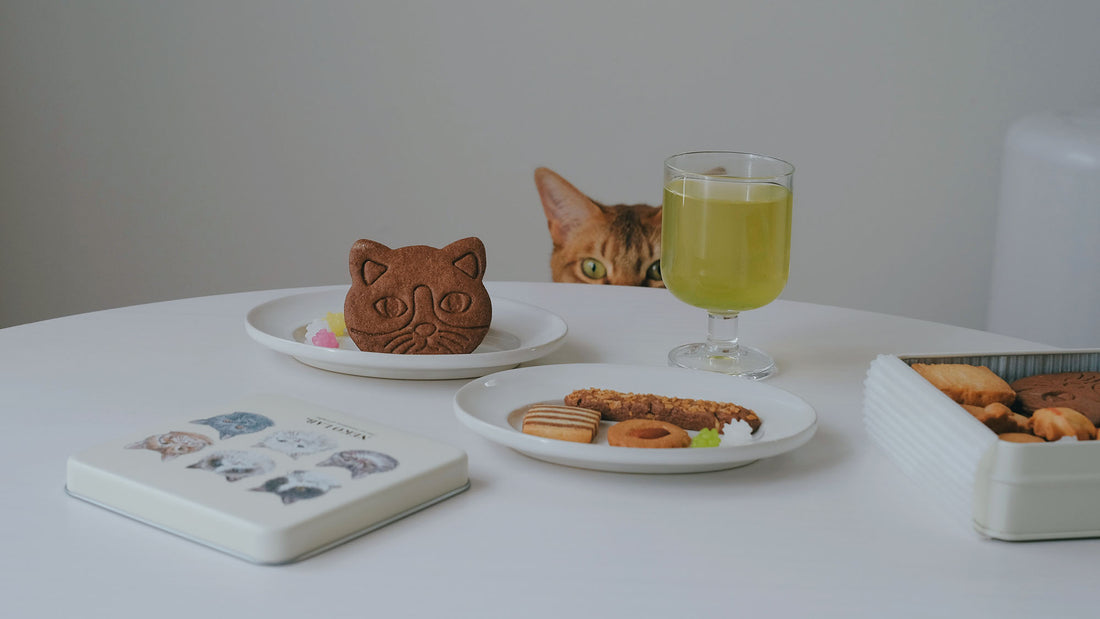 お菓子とお茶(と猫)｜ただただ猫が好き。NEKO LAB「猫クッキー缶」と「035 さきみどり 彼杵」