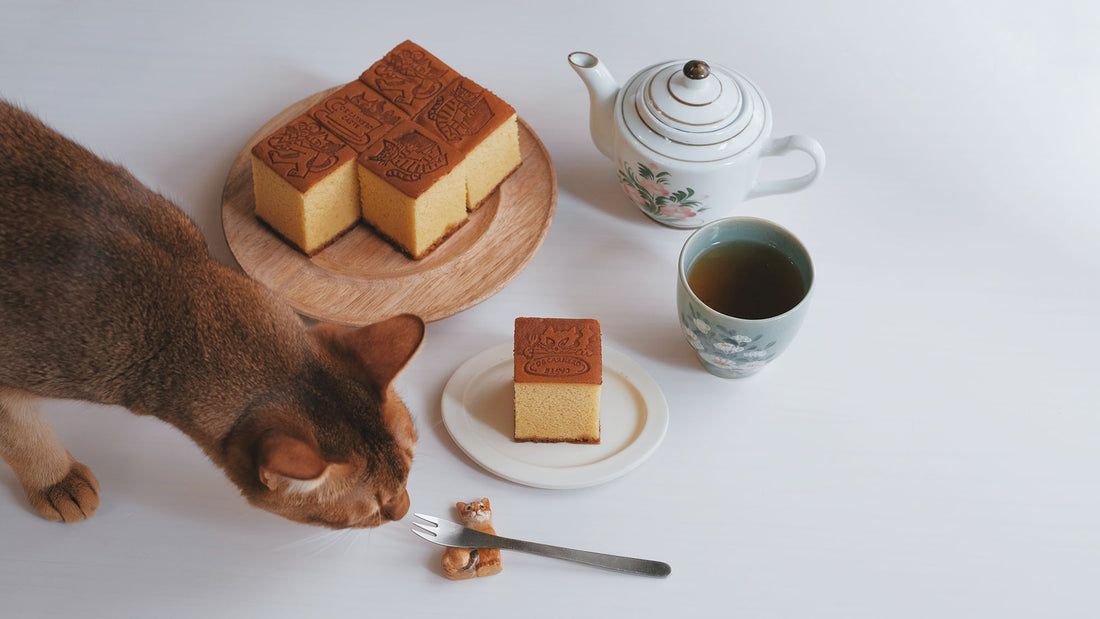 お菓子とお茶(と猫)｜DE CARNERO CASTE「プレーンカステラ」と「棒ほうじ」