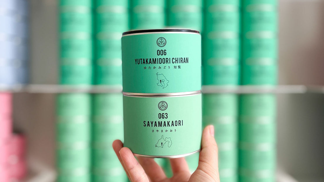 【試飲茶会】2023年10月販売のシングルオリジン煎茶2種を飲み比べてみました！