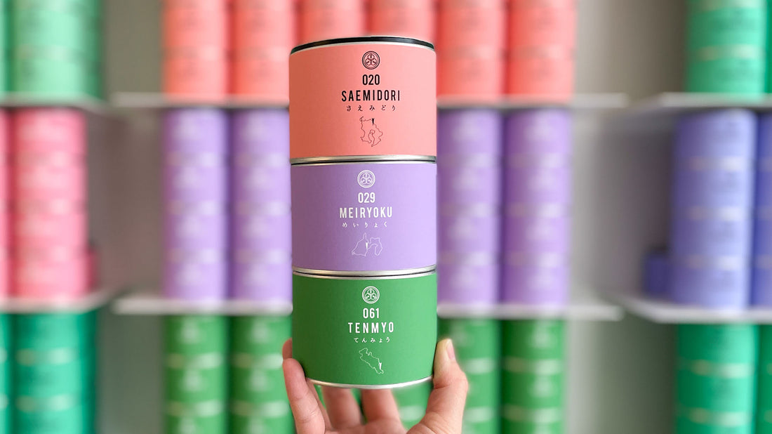 【前半】試飲茶会 2023年11月販売のシングルオリジン煎茶3種を飲み比べてみました！