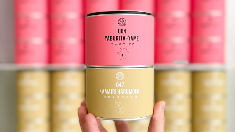 【試飲茶会】2023年12月販売のシングルオリジン煎茶2種を飲み比べてみました！