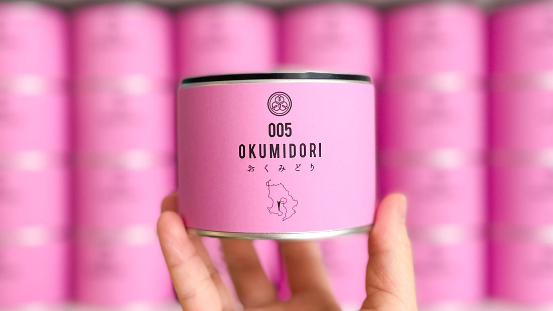 20℃強めた火入れでどのくらい香ばしくなった？『005 おくみどり』【2024年5月試飲茶会】前編