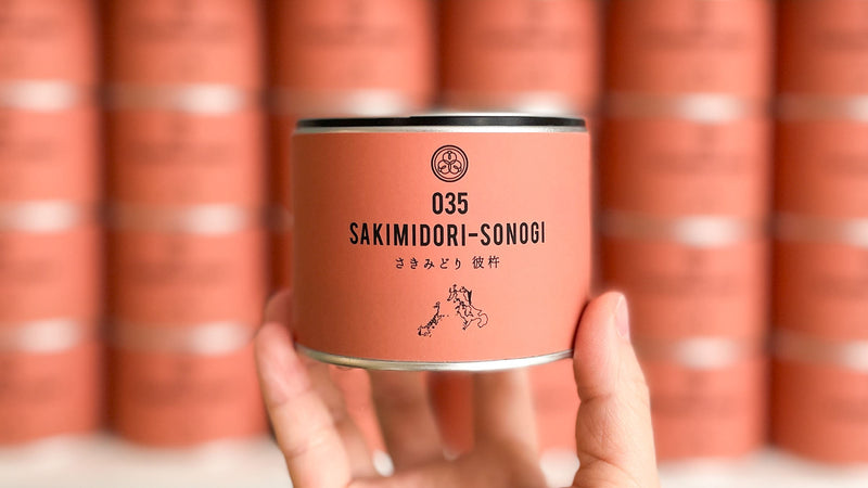 クリンとした形の深蒸し茶。海の見える茶園で作られる『035 さきみどり 彼杵』【2024年5月試飲茶会】後編