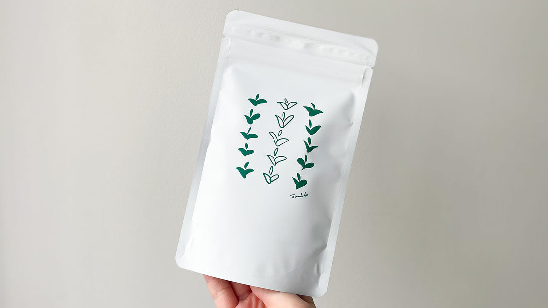 【試飲茶会】2024年新茶『茂2号』を飲んでみました！