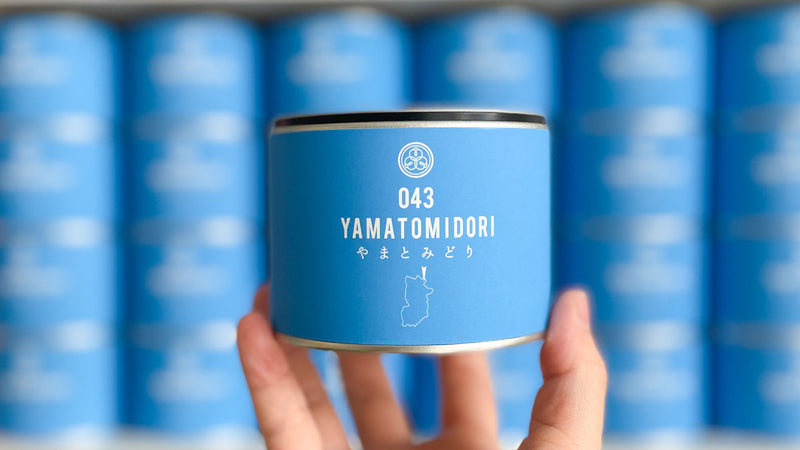 奈良県の土地が産んだ幻の品種。まるで玉露『043 やまとみどり』【2024年9月試飲茶会】