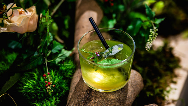 フローリストedalab.が思う植物とお茶の魅力。知るともっと楽しめる「飲む植物園@東京茶寮」のコンセプト