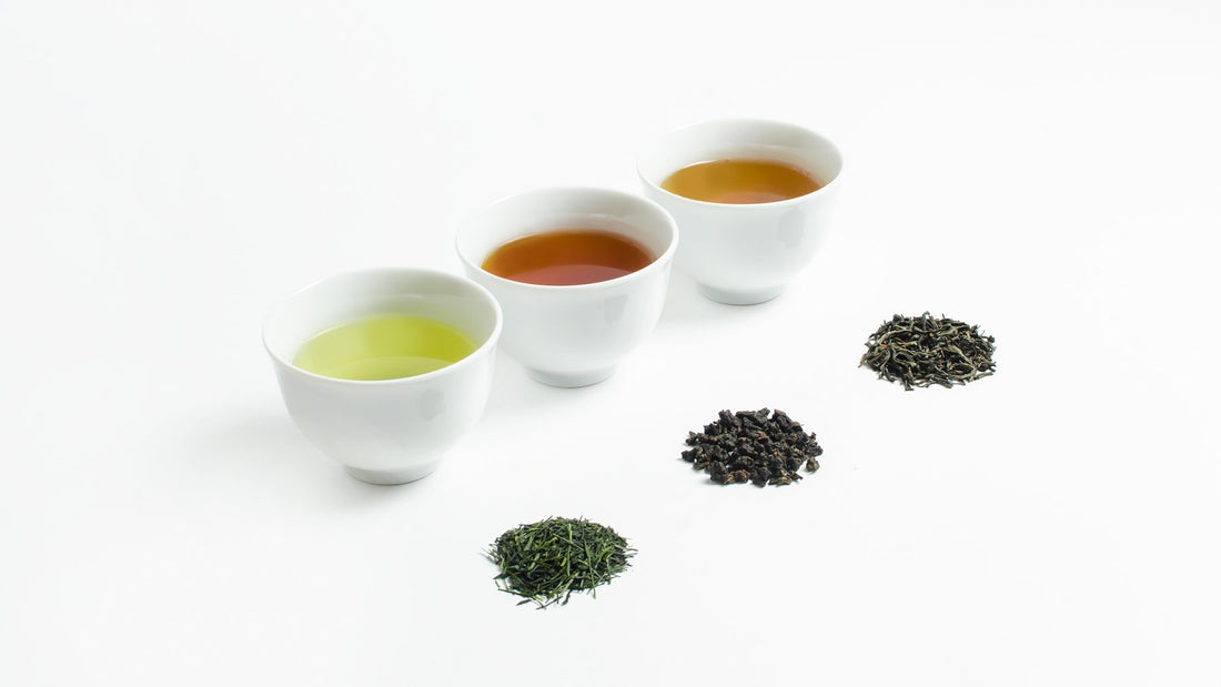 お茶の発酵とは？緑茶・紅茶・烏龍茶の違いをもたらす発酵の正体