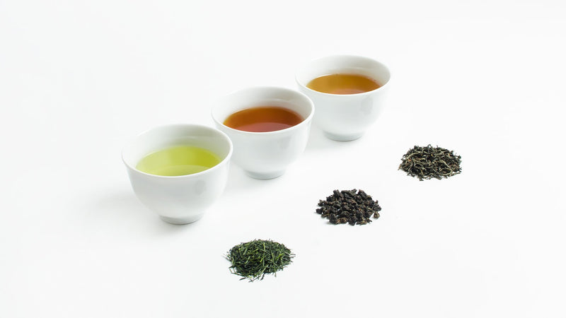 お茶の発酵とは？緑茶・紅茶・烏龍茶の違いをもたらす発酵の正体