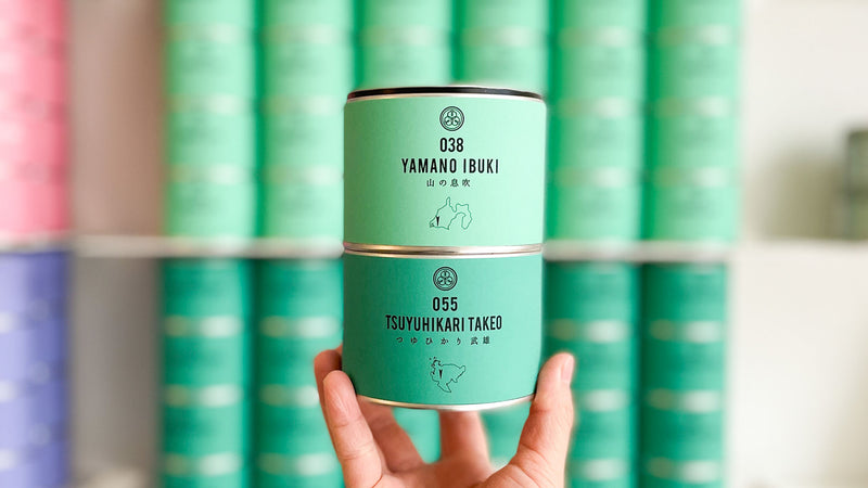 【試飲茶会】2024年2月販売のシングルオリジン煎茶2種を飲み比べてみました！