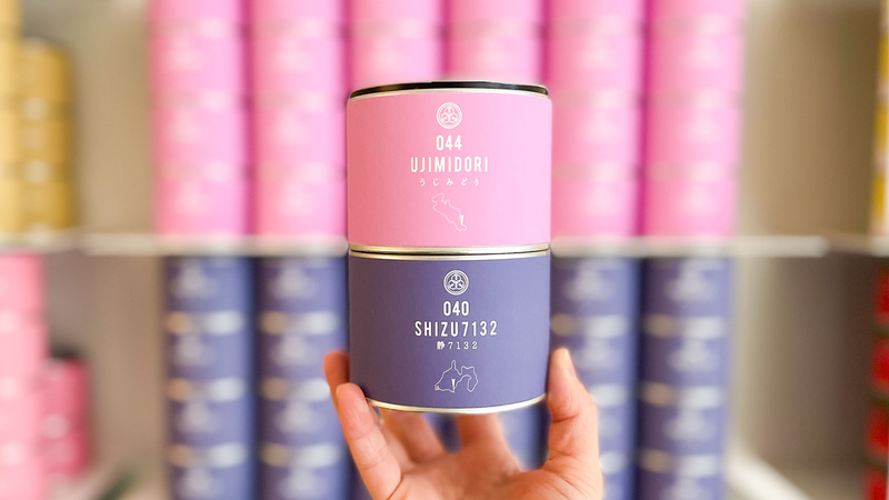 【試飲茶会】2024年1月販売のシングルオリジン煎茶2種を飲み比べてみました！