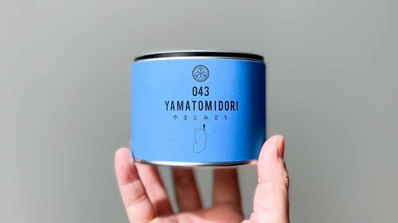 【試飲茶会】2024年4月販売のシングルオリジン煎茶2種を飲み比べてみました！前編