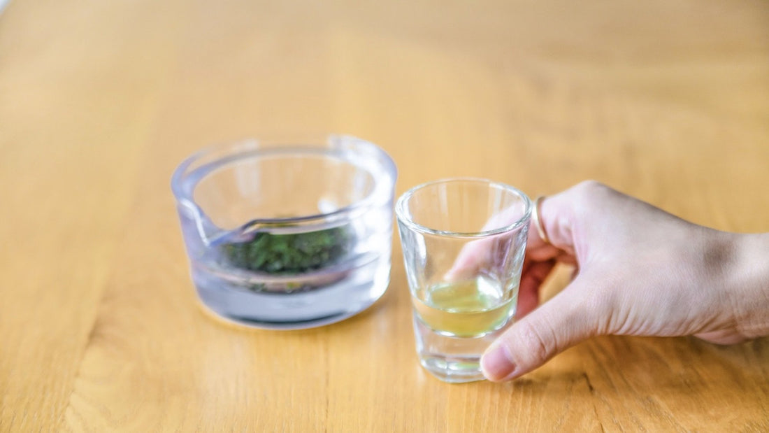 玉露とはどんなお茶？高級茶として名高い玉露を紐解いてみよう