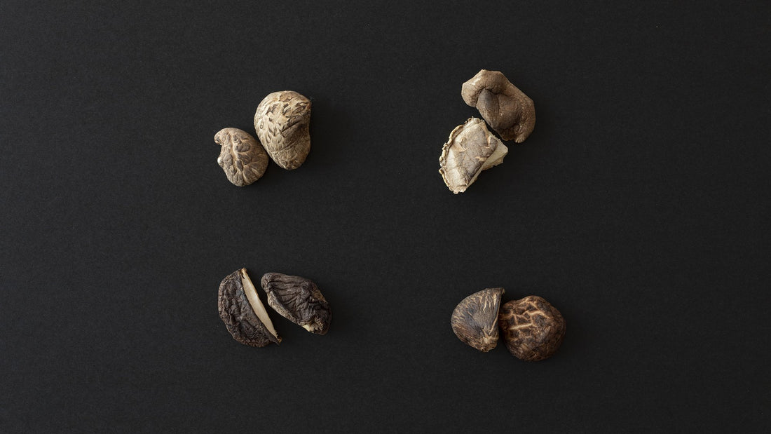 おいしい椎茸はどうやって作られる？菌種によって変わるフレーバーと椎茸の栽培方法