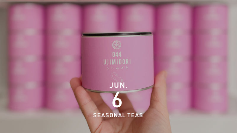 6月のシングルオリジン煎茶8品種！ファンの多い玉露が入荷しました