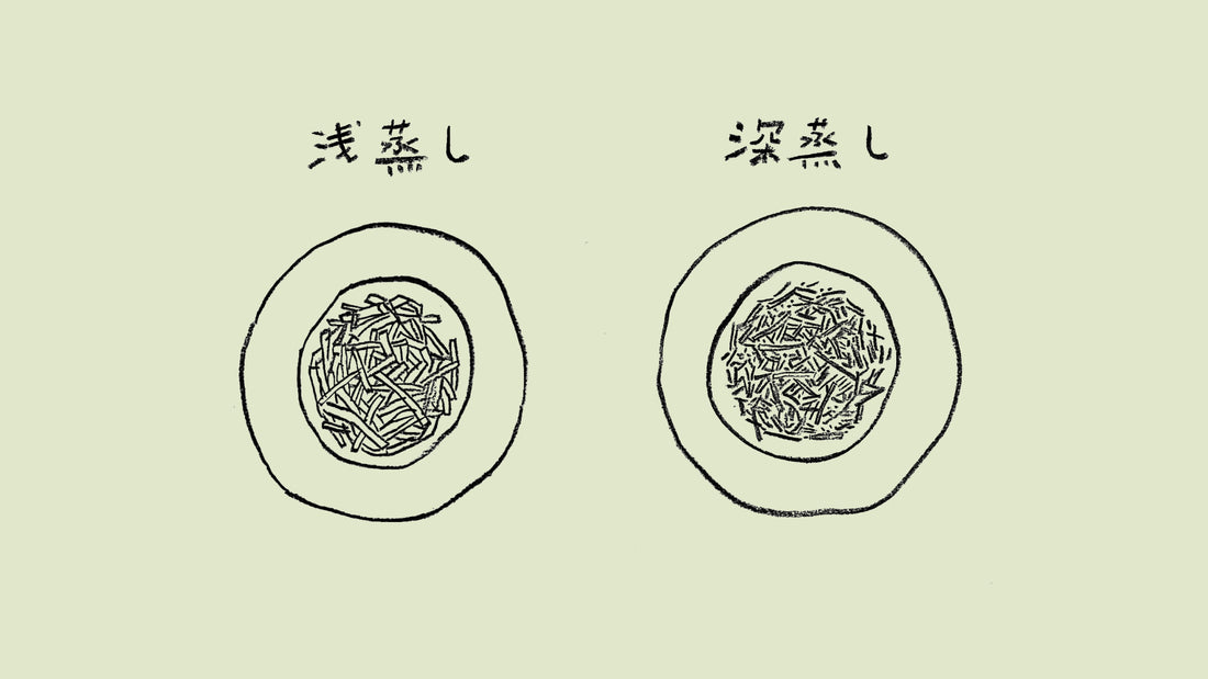 「浅蒸し茶・中蒸し茶・深蒸し茶」茶ことば大辞典 The Dictionary of Tea Terminology #2