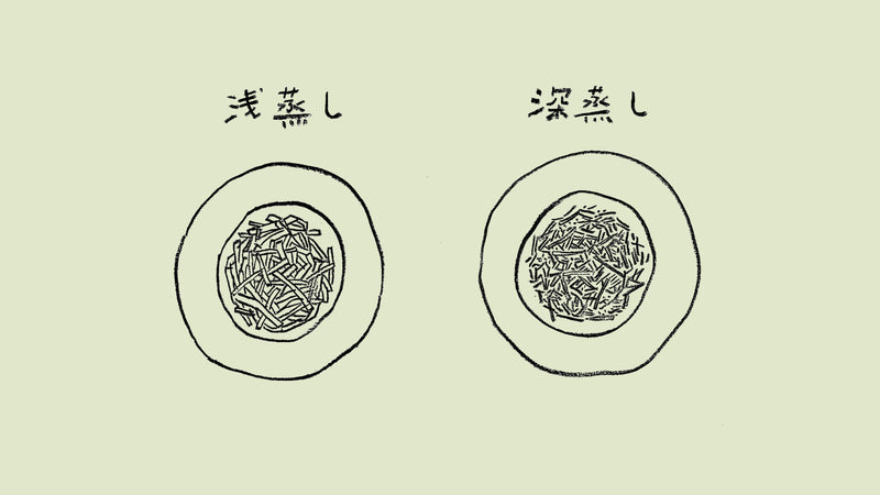 「浅蒸し茶・中蒸し茶・深蒸し茶」茶ことば大辞典 The Dictionary of Tea Terminology #2