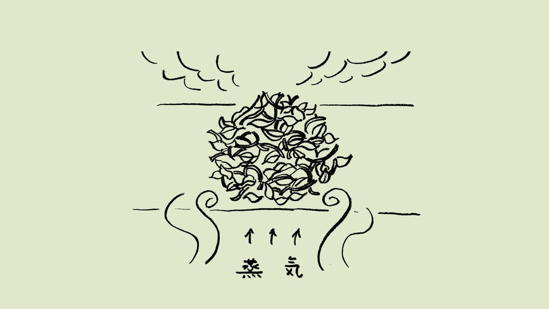 「蒸熱」茶ことば大辞典 The Dictionary of Tea Terminology #4