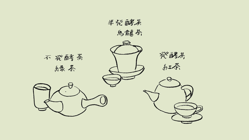 「発酵」茶ことば大辞典 The Dictionary of Tea Terminology #15