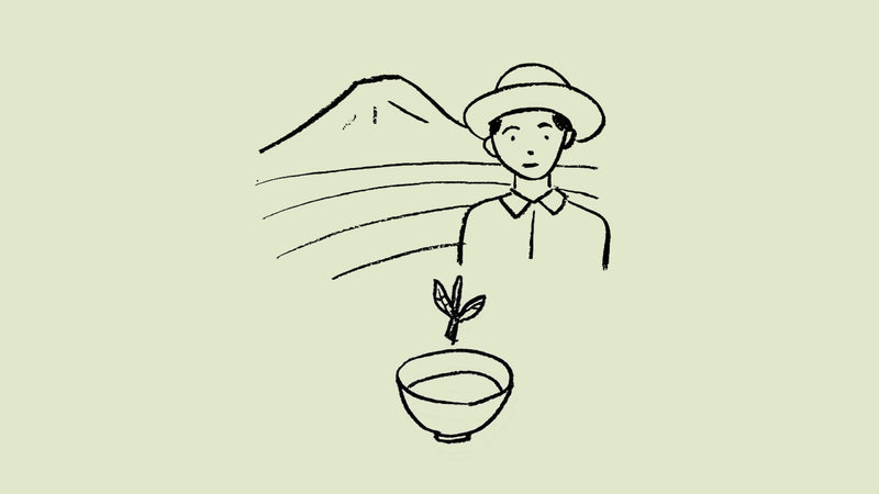 「シングルオリジン・ブレンド」茶ことば大辞典 The Dictionary of Tea Terminology #8