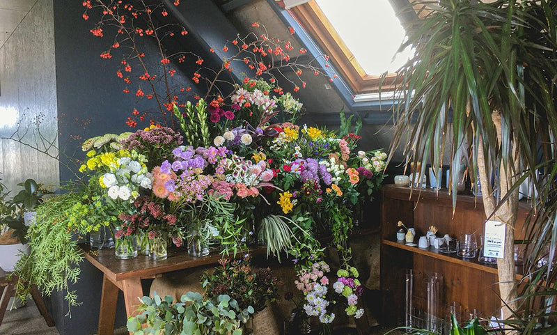 部屋に飾りたい花。vol.05 屋根裏で見つけた秋の花。中目黒・ex. flower shop & laboratory