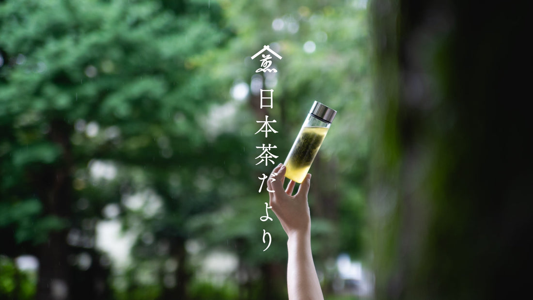 【日本茶だより】8月のお茶一覧。夕涼みに寄り添うお茶とともに