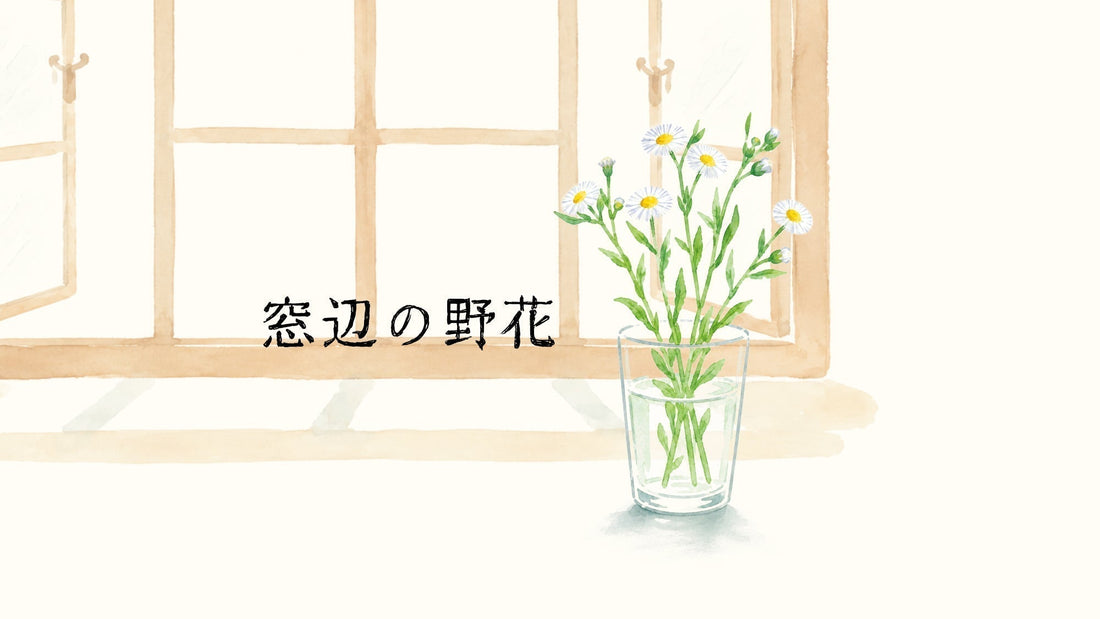 「窓辺の野花」vol.01／ヒメジョオン - TOKYO TEA JOURNAL 巻頭連載
