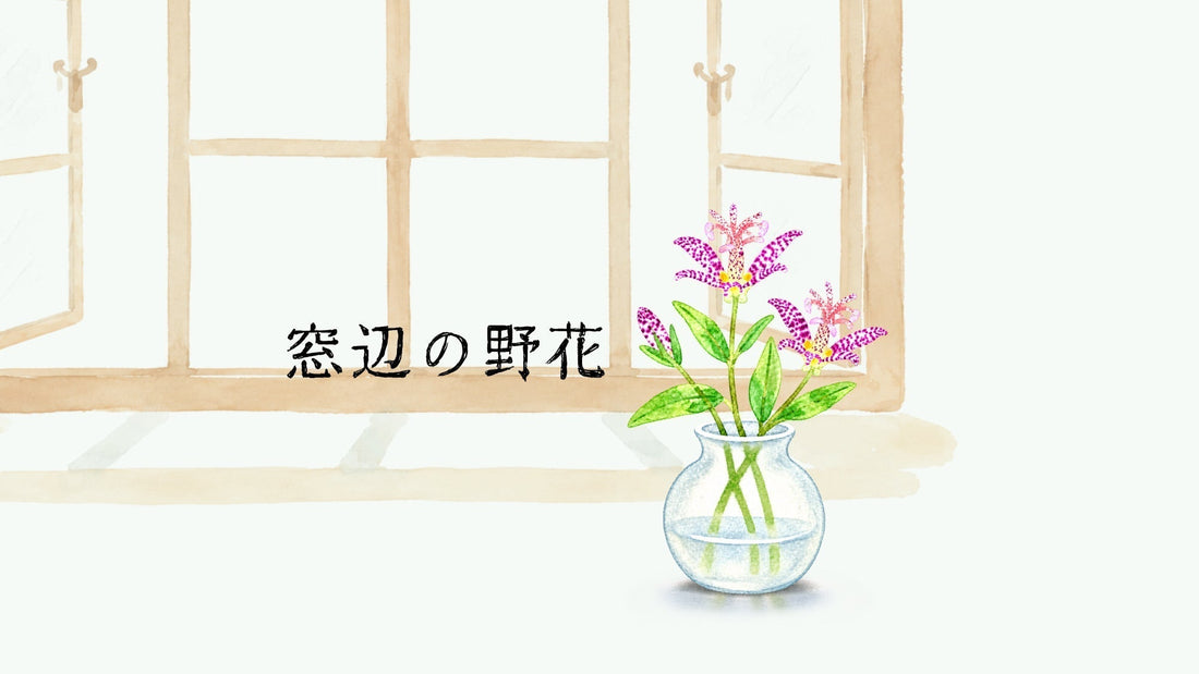 「窓辺の野花」vol.03／ホトトギス - TOKYO TEA JOURNAL 巻頭連載