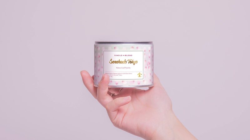 【春をひと缶に。】春季限定！さくらの煎茶が花びら舞い散る装いに